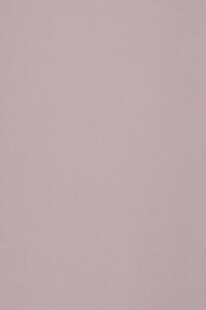 淡紫色纯色背景画面