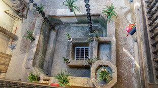 庭院内景 绿植环绕小空间