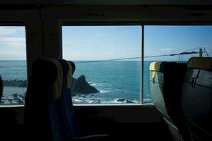 车内视角看美丽海景