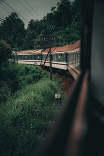 火车穿行于绿意盎然之景
