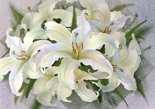 白色百合花束特写