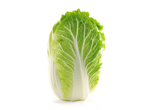 一颗新鲜的小白菜