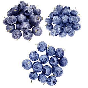 免扣蓝莓