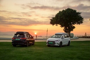 夕阳下的双车与绿树