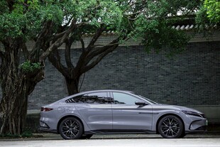 银灰色轿车停靠于大树旁