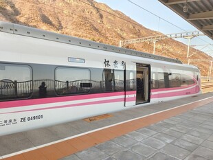 粉色条纹高铁停靠站台
