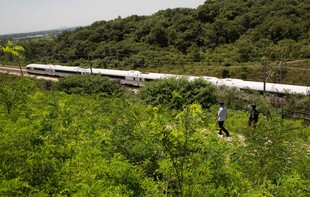 高铁穿行绿意盎然山林间