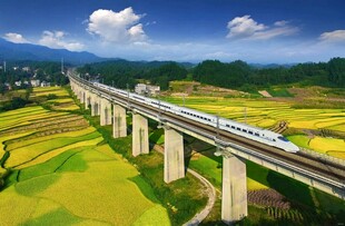 高铁穿行于田园风光间