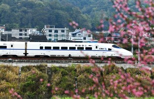 高铁穿行于烂漫花丛间