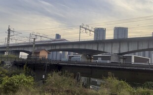 城市铁轨与远处建筑群