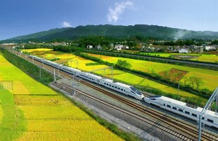 高铁穿行于田园美景间