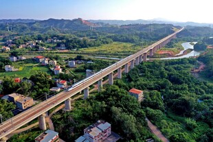 高架桥穿林而过的美丽景象