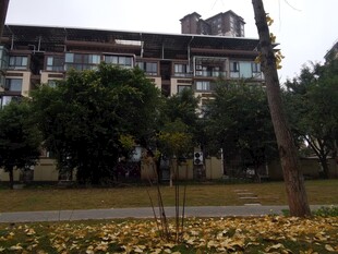 秋日校园建筑与落叶景观
