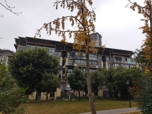 秋日校园建筑景观