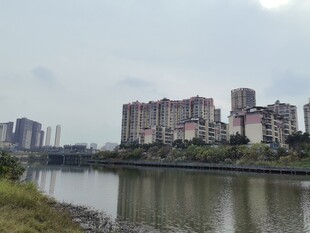 河畔城市风光