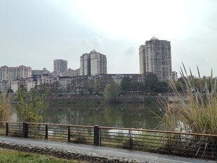 河畔城市景观