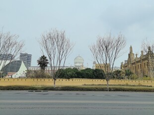 城市街道旁的建筑与树木