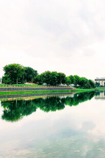 湖畔绿树倒影的宁静景致