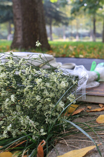 地上的小白花束