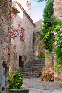 古朴小巷的自然景致