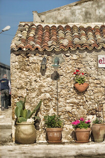 石墙边的多彩盆栽景观