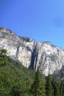 壮丽山景与葱郁森林