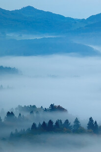 山间晨雾缭绕的静谧景致