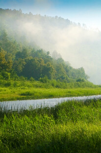 清晨河畔绿野云雾美景