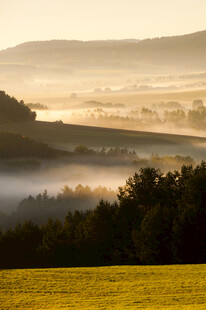 晨雾中的田野与山林美景