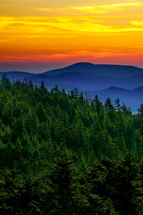 山林间的绚烂日落美景