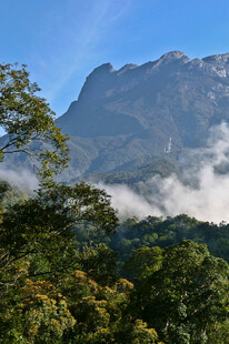 云雾缭绕中的山峦与绿树