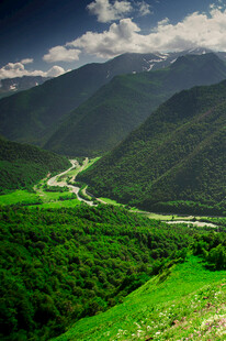 山间绿野公路美景