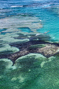 清澈海域下的斑斓珊瑚礁