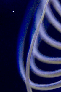 梦幻螺旋线条艺术画面