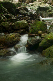 山间溪流潺潺青苔覆石