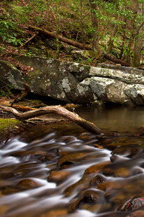 山间溪流潺潺自然美景