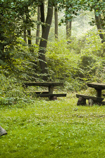 林间草地的休闲桌椅