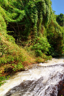山间湍急溪流与繁茂植被