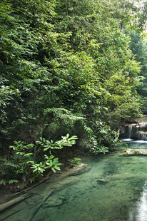 清幽山林间的澄澈溪流