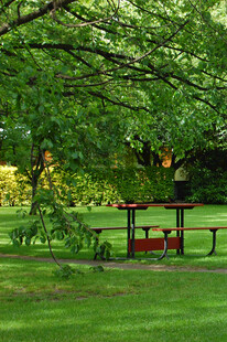 绿荫下的户外休憩场景