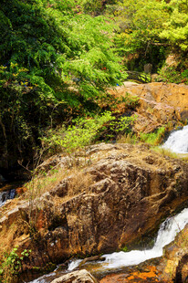 山间溪流旁的葱郁景致