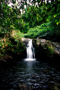 山林间的清幽小瀑布