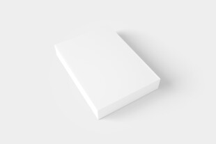 长方形扁盒子包装设计展示样机