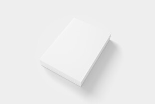 长方形扁盒子包装设计展示样机