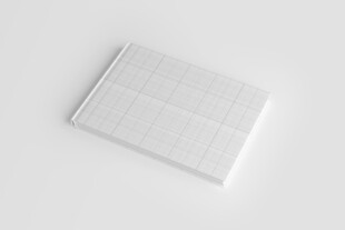 精装宣传图册设计展示样机