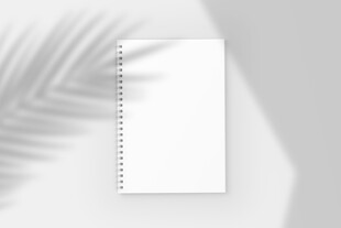 阴影下的线圈笔记本样机展示