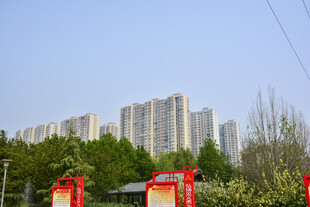 城市高楼与周边绿植景观