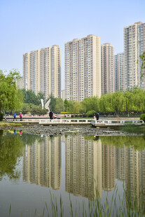 湖畔高楼倒影城市美景