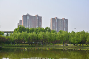 湖畔绿树映高楼美景