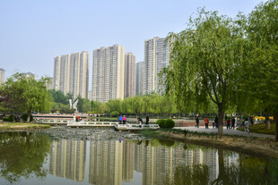 城市湖畔风景